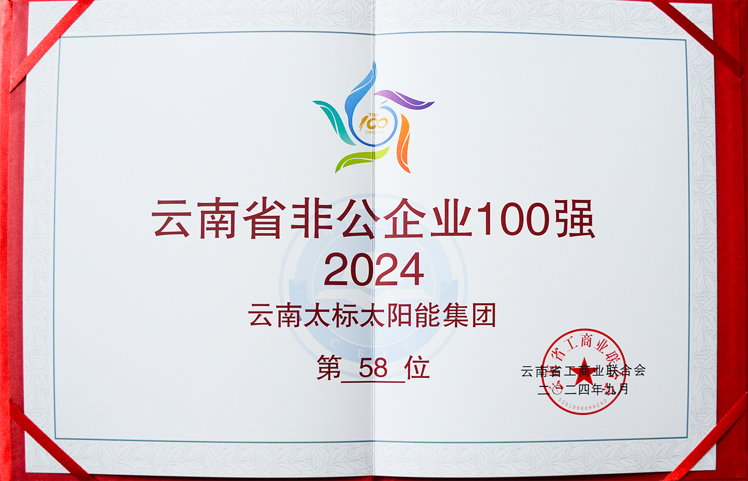 2024非公企業(yè)100強