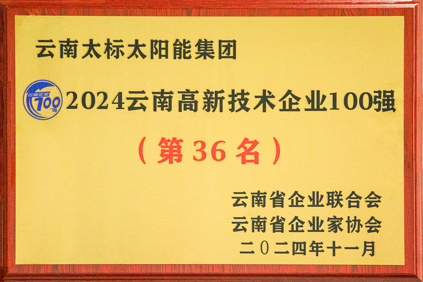 2024高新技術(shù)企業(yè)100強獎牌