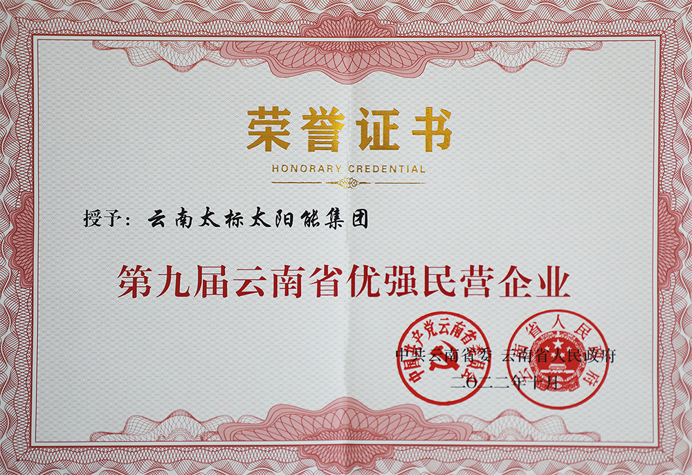 第九屆云南省優(yōu)強民營企業(yè)